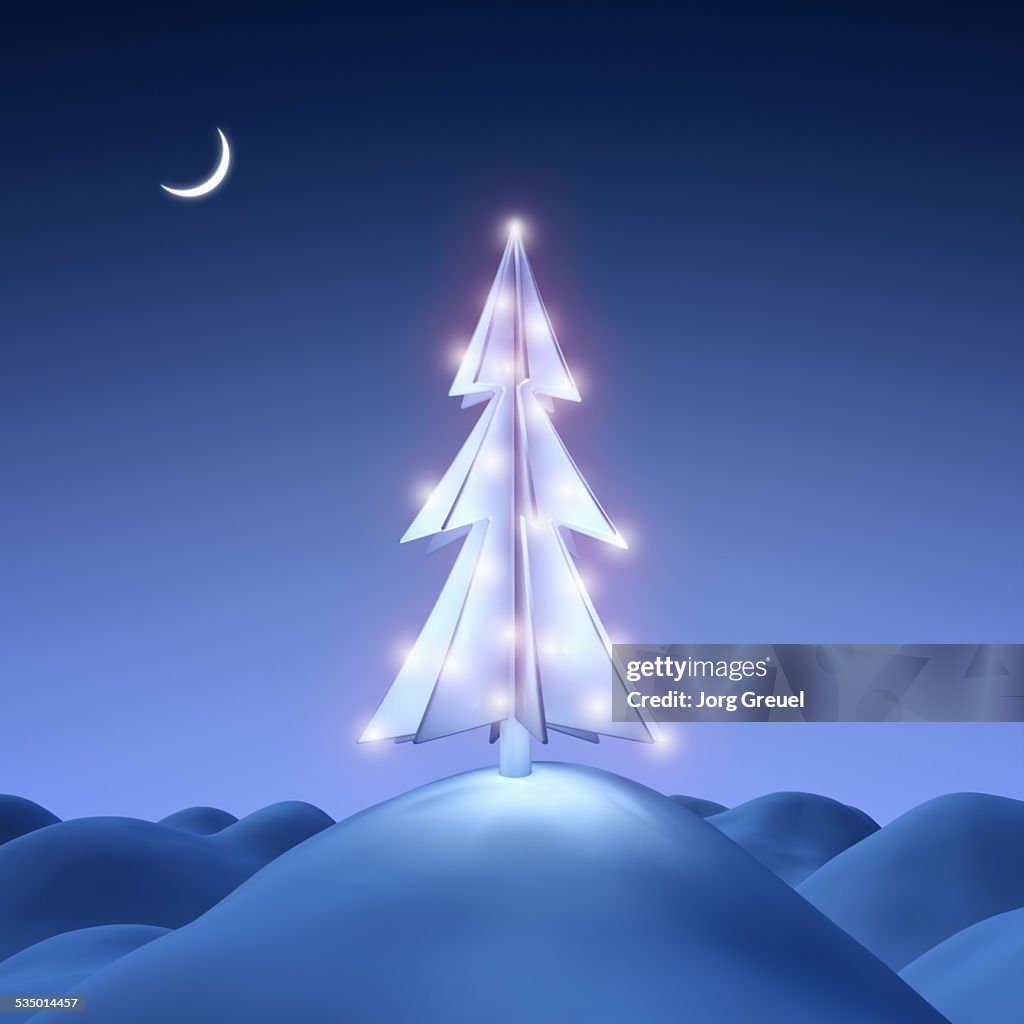 Christmas Tree at night