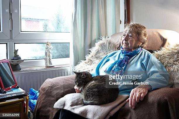 elderly women sitting with her cat - old woman cat stock-fotos und bilder