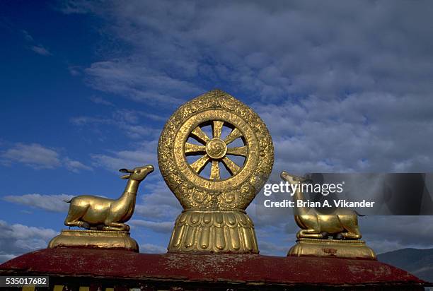 Dharma Ruler 129 Dharma Wheels Stock Photos, High-Res Pictures, and Images - Getty ...