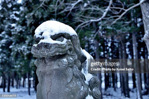 komainu and snow - shinto shrine stock pictures, royalty-free photos & images