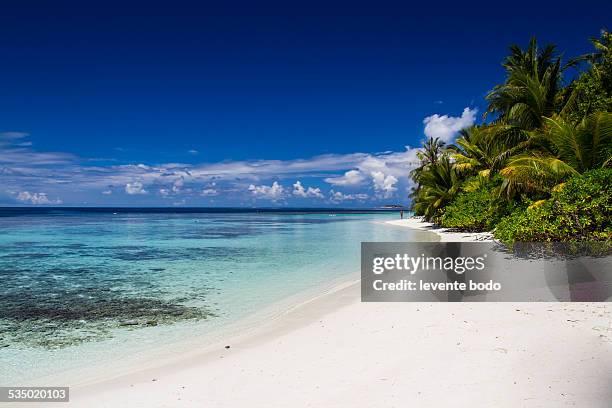 untouched tropical beach in maldives - bandos stock-fotos und bilder