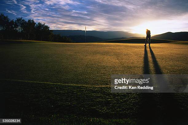 silhouetted golfer putting on the green - golfer putting stock pictures, royalty-free photos & images