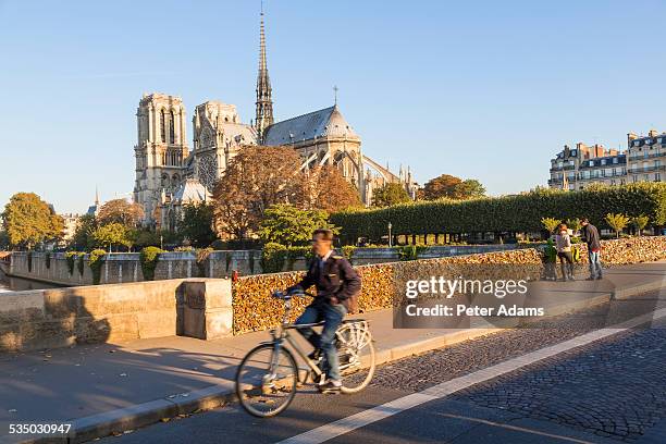 cyclist, notre dame and river seine, paris, france - church color light paris stockfoto's en -beelden