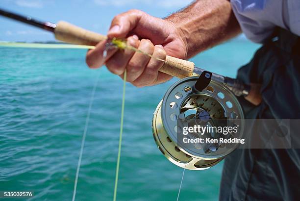 tarpon fishing rod and reel - sedal fotografías e imágenes de stock