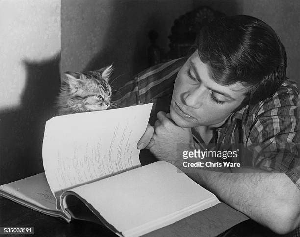 English actor Oliver Reed reading through his script in preparation for his forthcoming role in the Hammer horror film 'The Curse Of The Werewolf',...