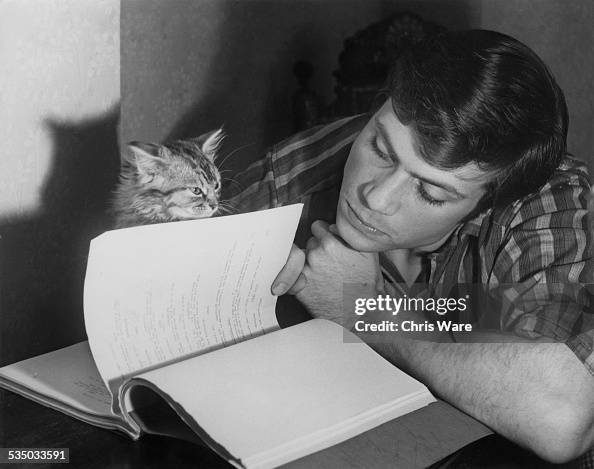 Oliver Reed And Kitten Oliver Reed And Kitten