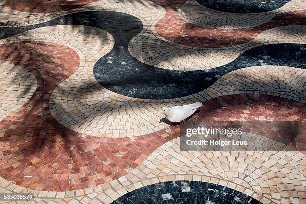 pigeon on tiles of explanada de espana - promenade stock-fotos und bilder