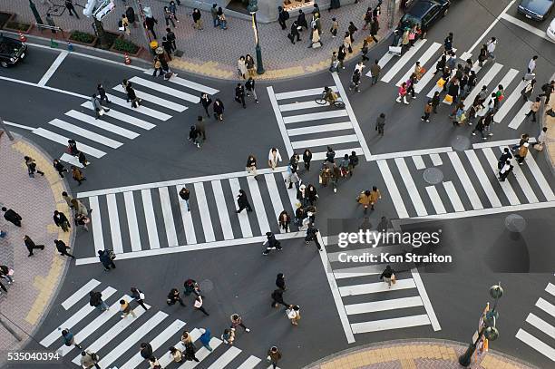 pedestrians crossing street - tokyo crossing stock pictures, royalty-free photos & images