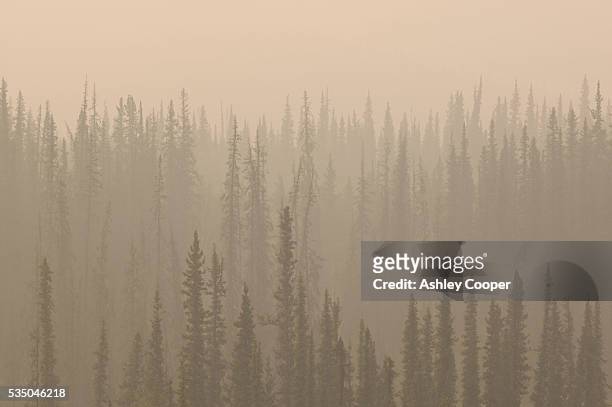 Smoke blankets the Black Spruce forests just North of Fairbanks, Alaska. The summer of 2004 was both the hottest and driest in Alaskan history,...