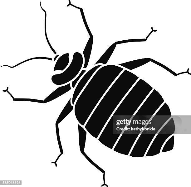 vektor-käfer in schwarz und weiß - bedbug stock-grafiken, -clipart, -cartoons und -symbole