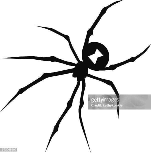 vector black widow spider in black and white - black widow spider stock illustrations