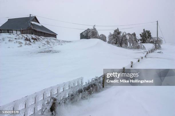 ice covers fence - mike hollingshead stock-fotos und bilder