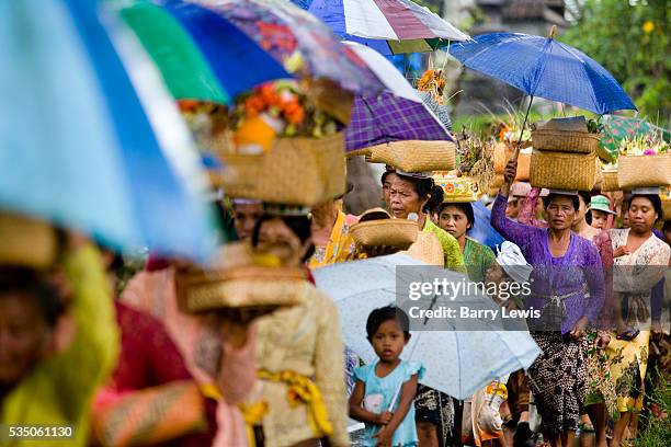 Procession of Hindu women and children carrying offerings in baskets to bless the harvest during a tropical rain storm in a village near Ubud, Bali,...