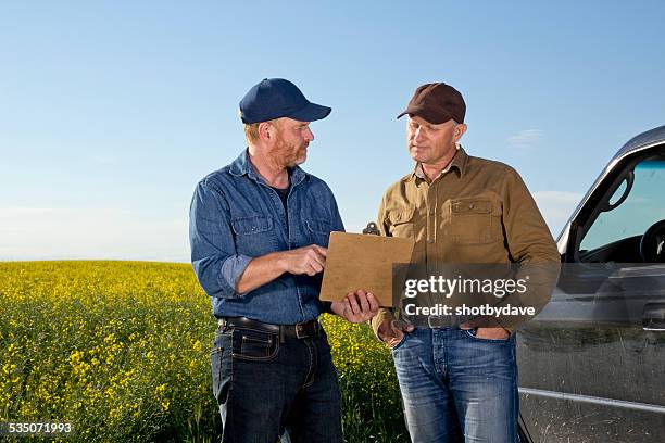 agriculture farmers in colllaboration and communication at a canola farm - concerned farmers stock pictures, royalty-free photos & images