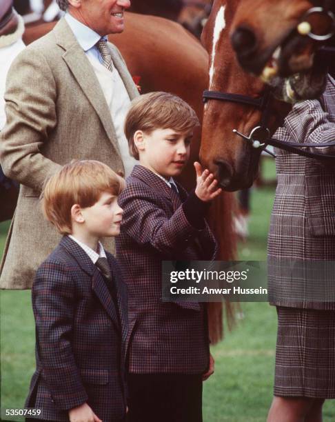 Prince William and Prince Harry pat a horse when the visit the Badminton Horse Trials in May, 1991 in Badminton, England.