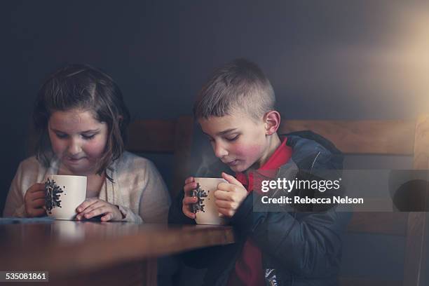 boy and girl warming up with some hot chocolate - hot drink stock pictures, royalty-free photos & images