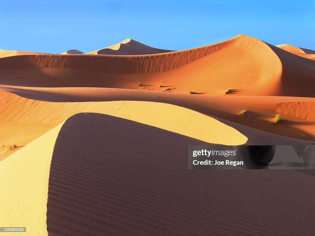 Sahara Sculptures