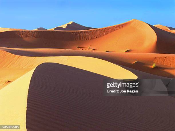 sahara sculptures - sand dune stock pictures, royalty-free photos & images
