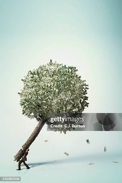 businessman carrying money tree - capitalismo foto e immagini stock
