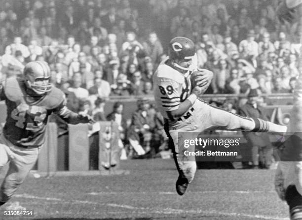 Detroit, MI-: Chicago Bears end Mike Ditka comes down with a touchdown pass from Bear quarterback Bill Wade during the 2nd quarter Lions-Bears game....