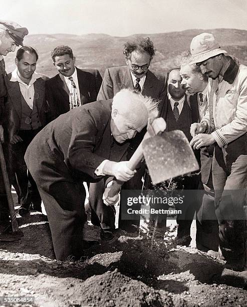 Jerusalem, Israel-: David Ben-Gurion, Prime Minister of Israel, is shown as he planted the first of a million trees in Israeli's forestation program....