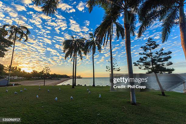 foreshore sunset - townsville fotografías e imágenes de stock