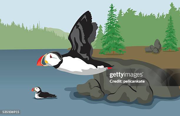 atlantic puffins and north atlantic landscape - puffin stock illustrations
