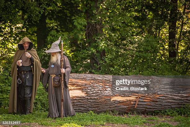wizards - wizard cloak stock pictures, royalty-free photos & images
