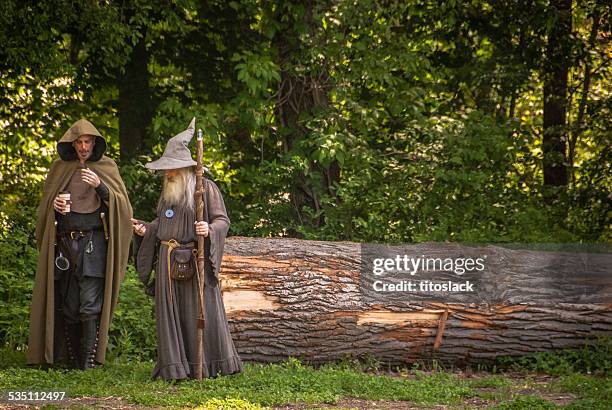 wizards - renaissance faire stock pictures, royalty-free photos & images