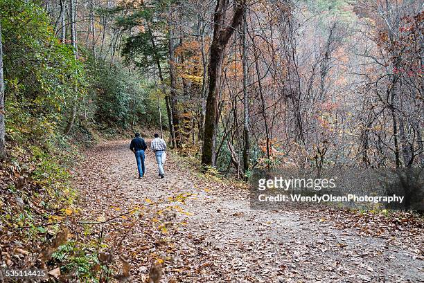 two men walking on an autumn day - bryson city north carolina stock pictures, royalty-free photos & images