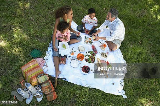 family having a picnic - family picnic stock pictures, royalty-free photos & images