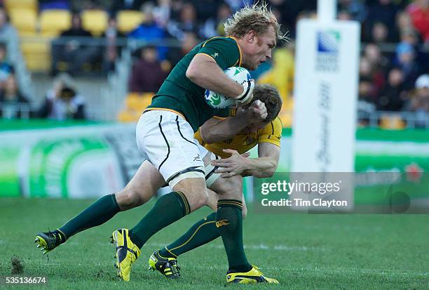 Pat Rugby Sa Pat Mccabe Rugby Player Photos and Premium High Res Pictures - Getty Images