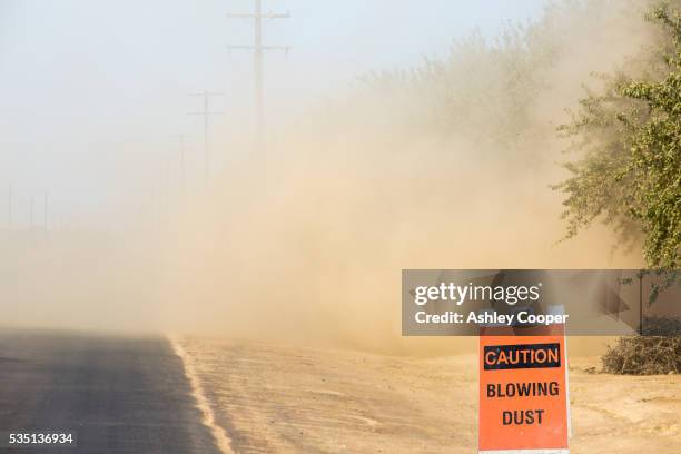 almond groves in wasco in the central valley of california - bakersfield stock pictures, royalty-free photos & images