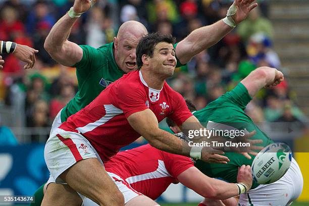 Michael Rein Rugby 769 Mike Phillips Rugby Player Photos Stock Photos, High-Res Pictures ...