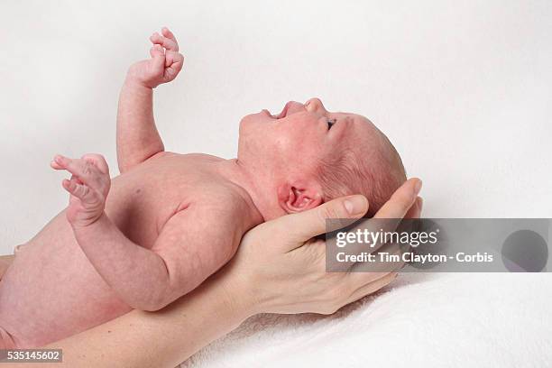 Studio portrait of a three week old baby girl. Photo Tim Clayton