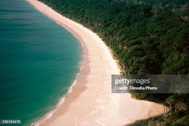 beach on andaman islands in india. - andaman and nicobar islands stock pictures, royalty-free photos & images