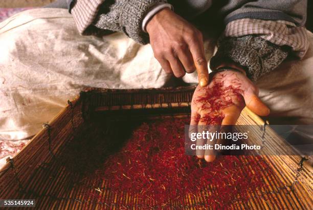 passing saffron through a sieve for better quality in jammu and kashmir, india. - saffron 個照片及圖片檔
