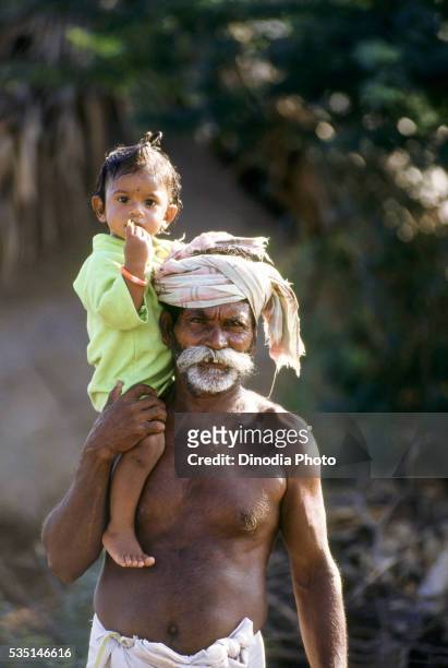 grandchild (2-3 years old) sitting on grandfather's shoulders in tamil nadu, india. - 55 59 years stock-fotos und bilder