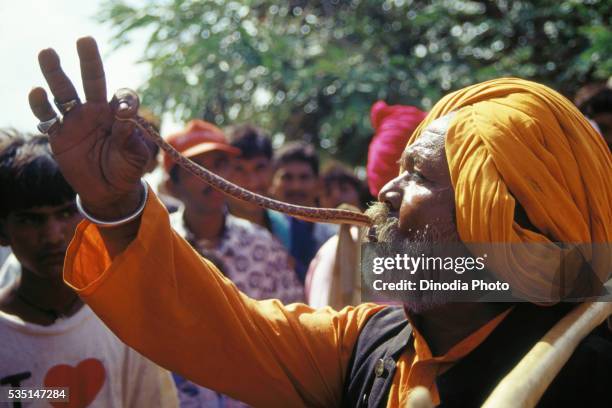 sake charmer at tarnetar fair in gujarat, india. - snakes beard stock pictures, royalty-free photos & images