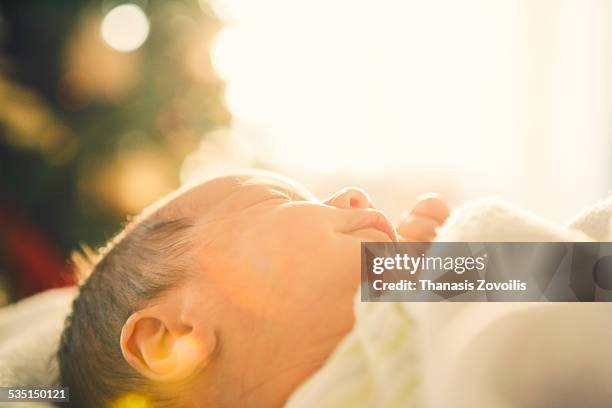 portrait of a baby - sleeping boys stockfoto's en -beelden