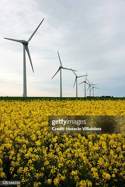 Wind Farm along route D925 near Saint-Valery-en-Caux in the Seine-Maritime department in the Haute-Normandie region, northern France, 29 May 2013....