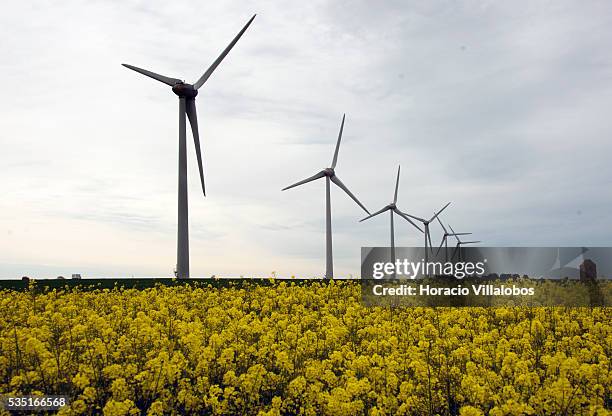 Wind Farm along route D925 near Saint-Valery-en-Caux in the Seine-Maritime department in the Haute-Normandie region, northern France, 29 May 2013....