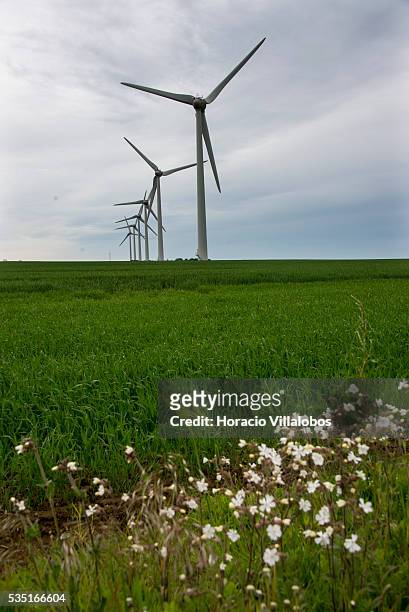 Wind Farm along route D925 near Saint-Valery-en-Caux in the Seine-Maritime department in the Haute-Normandie region, northern France, 29 May 2013....