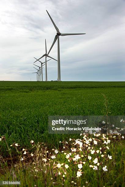 Wind Farm along route D925 near Saint-Valery-en-Caux in the Seine-Maritime department in the Haute-Normandie region, northern France, 29 May 2013....