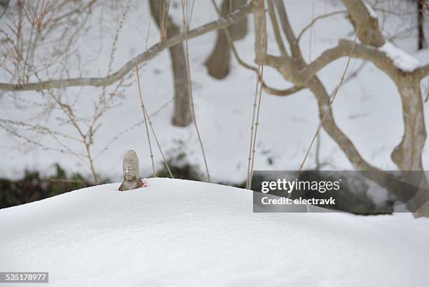 jizo statue - yamadera stock pictures, royalty-free photos & images