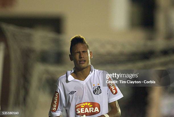412 Futebol Brasileirao League Stock Photos, High-Res Pictures, and Images  - Getty Images