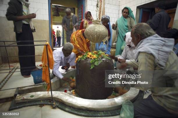 devotees offering prayers in jageshwar temple in bandakpur district, damoh, madhya pradesh, india. - damoh stock pictures, royalty-free photos & images