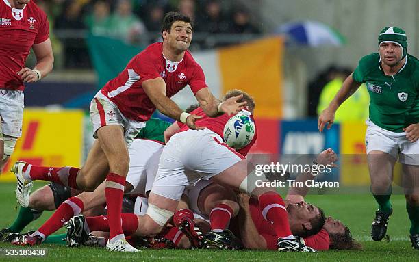 Mike Hook Rugby 769 Mike Phillips Rugby Player Photos Stock Photos, High-Res Pictures ...