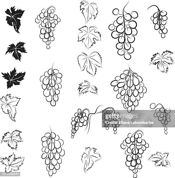 5 556点のブドウイラスト素材 Getty Images 5 556点のブドウイラスト素材 Getty Images