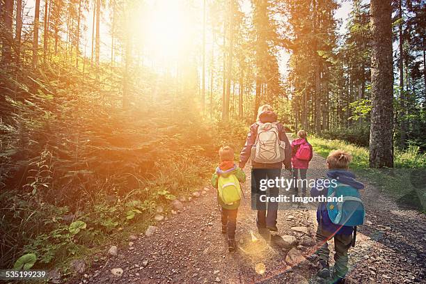 mother and kids hiking in sunny forest - family greenery bildbanksfoton och bilder